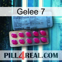 Jelly 7 35